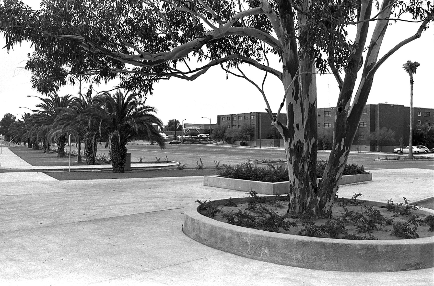 University of Arizona: Dorms